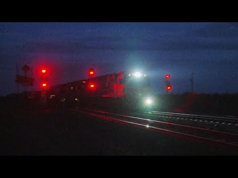 Pacific National MP5 Container Freight Train  - PoathTV
