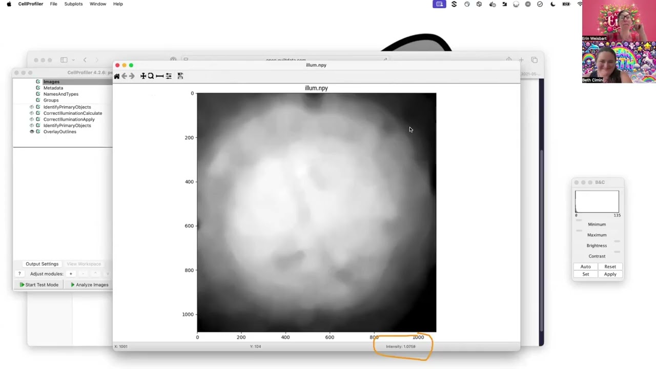 Illumination Correction in CellProfiler (Two Ways!) - AskErinDearBeth Episode 14