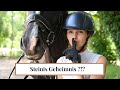 1 Mal Ohne Sattel Reiten Steinis Geheimnis Lüften LILGRO