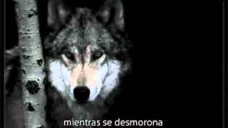 Catamenia - Farewell (Sentenced Cover) subtitulada español