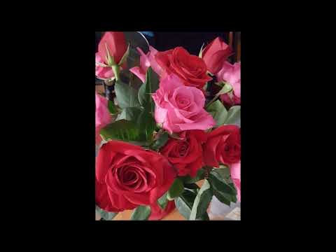 De Roos :  Ezechiel 36 Een nieuw hart zal Ik jullie geven!