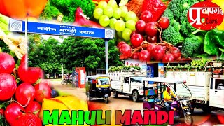 preview picture of video 'Mahuli Mandi Pratapgarh | Navin Mandi Sthal | महुली नवीन मण्डी स्थल प्रतापगढ़ | हाईटेक महुली मण्डी'