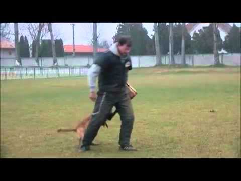 Cayman Betkin dvor   training defence  Tomášov   14 12 2013