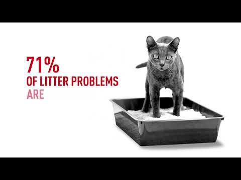 Royal Canin VD Cat Urinary S/O 7kg video