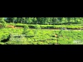 Nanban En Friend Pola HD Video Song