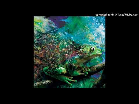 FRACTAL ERROR - THE OOKEY COOKEY CARROTS