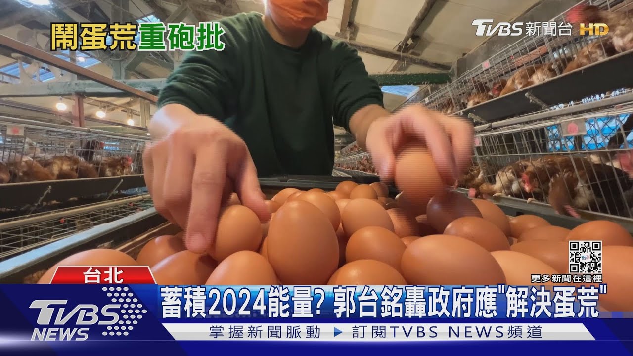 蓄積2024能量? 郭台銘轟政府應「解決蛋荒」