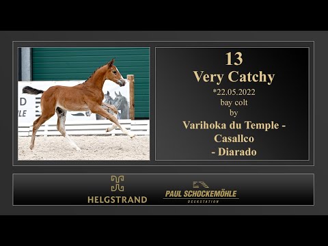 13 Very Catchy by Varihoka du Temple - Casallco