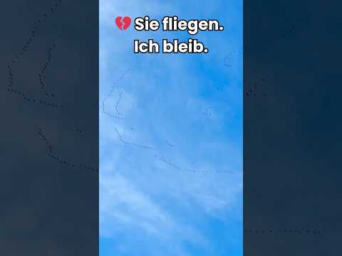 Zug der Kraniche - wenn der Himmel Abschied nimmt 🕊️ #shorts