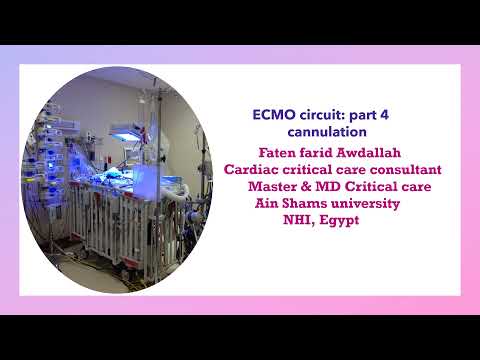 ECMO(Extracorporeal memberane oxygenation) circuit part 4: cannulation