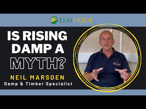 Is Rising Damp A Myth? Neil Marsden Sr.