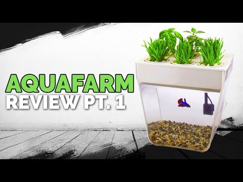 Pruning Shears Explained Choose the Best Pruners For Your Garden