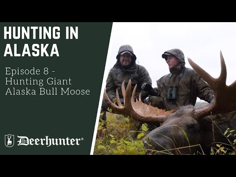 chasse en Alaska