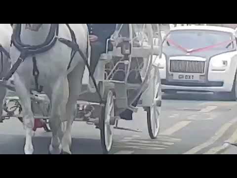 Cinderella Horse and Carriages For Wedding and Events UK /  Landau Horse and Carriages/