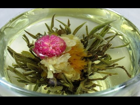 Blooming Tea Ball Flower ~ Tea Time ~ Just for Fun ~ How To 🌻 Video
