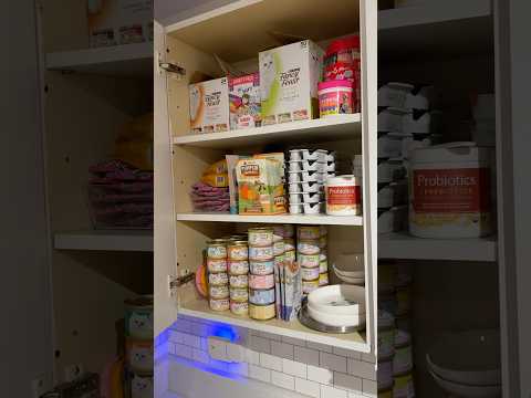restock & organize my cat pantry! 🐱 #catmom #catfood #kittenfood #fancyfeast #weruva