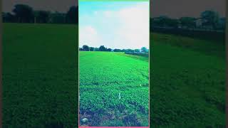 Download lagu STORY WA 'RINDUKU MENANTIMU' ( Elsa Anastasia ) Lokasi : Ds.Curug Tegowanu Grobogan. mp3 Download lagu STORY WA 'RINDUKU MENANTIMU' ( Elsa Anastasia ) Lokasi : Ds.Curug Tegowanu Grobogan. mp3