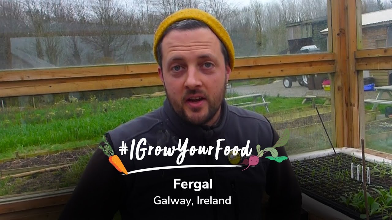 Meet Fergal, an organic farmer from Ireland 🇮🇪