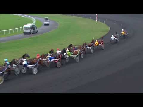 Prix De Belgique Gr2 2013 - Prix d’Amerique Q6 - Yarrah Boko & Pierre Vercruysse 1.14,4 2850m