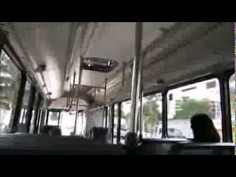 Transdev NSW South [Bankstown Airport] Volvo B12BLE  / Custom Coaches CB60 Evo II, m/o 9651 (416)