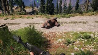 Where To Find Grizzly Bear Skin - Far Cry 5