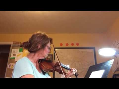 Fiddle Fidaddle Part 1