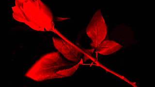 Kırmızı Gülün Alı Var .flv