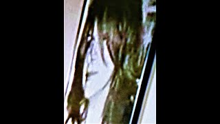 Sopranos: Rhiannon Reddit Post asks a Question-I ANSWER!