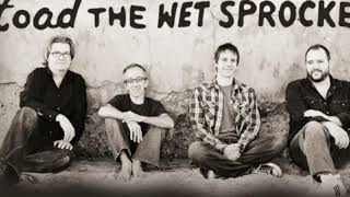Toad The Wet Sprocket-Something's Always Wrong