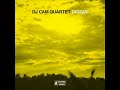 DJ Cam Quartet - Nebulosa