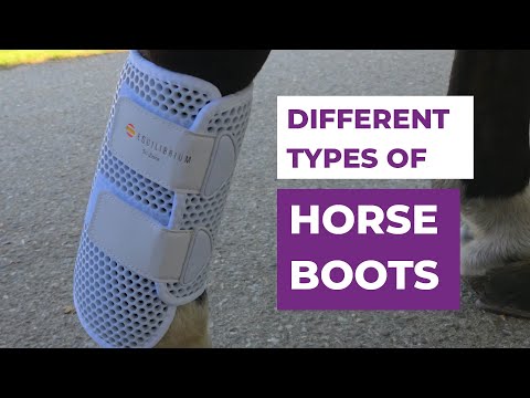 Horse Boots 101 - Types of Horse Boots and What They’re Used For