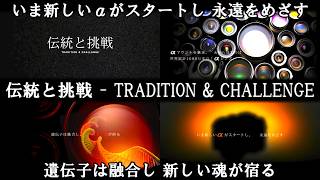 [SONY] 伝統と挑戦 - TRADITION & CHALLENGE [2006年6月]