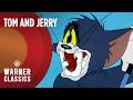 Tom And Jerry Mega Compilation Vol 30 Full Episodes Warner Classics