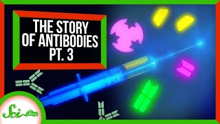 Smaller, Better, Faster, Stronger: the "Antibodies" of the Future | Antibodies Mini-Series Part 3