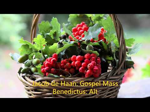 Jacob de Haan Gospel Mass Benedictus Alt