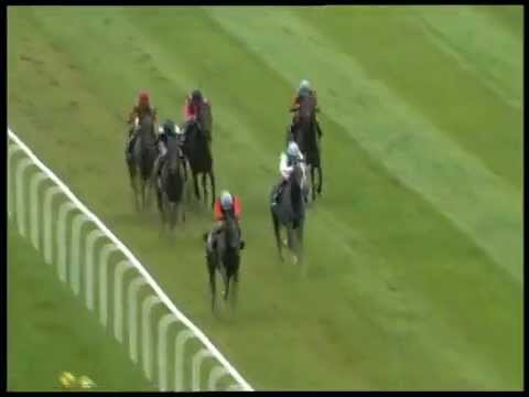 Grand Prix of Baden 2011, Gr.1. Winner: DANEDREAM