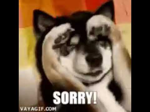 ce  drăguț 😢😢👍