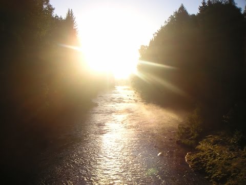 Fränk  - Vanhat koirat Feat.Mac topias