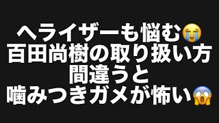 へライザーも悩む😭百田尚樹の取り扱い方間違うと噛みつきガメが怖い😱#百田尚樹　#有本香　#保守党　#河村たかし　#減税日本　#北村晴男　#竹上ゆうこ  #高市早苗　 #リハック　#アベプラ　