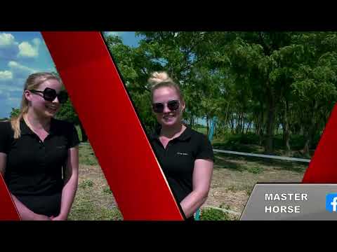 Lovas és családi nap 2024