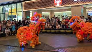 2025 中秋节 Lion dance By Hock Seng 鹤声 舞狮 @ Quayside mall 20250928