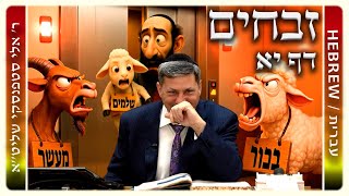 מרכז דף יומי - זבחים דף יא. - ר' אלי סטפנסקי שליט"א