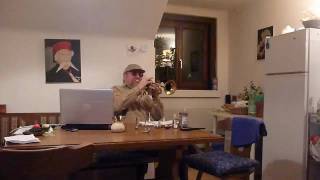Video thumbnail for Vintage Selmer Grand Prix Trumpet  Part 1 by bornmusician