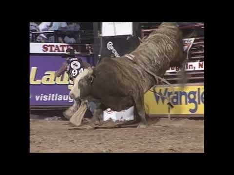Trick Or Treat bucks Dustin Hall - 00 PBR Laughlin