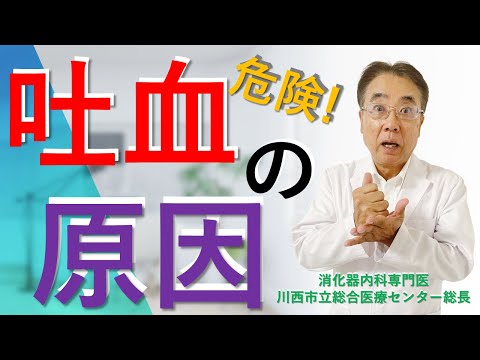 犬が血を吐く:原因と治療法