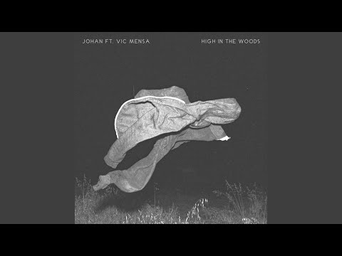 Video thumbnail for High In The Woods (Remix)