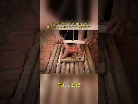 365 DAYS HOW I SURVIVAL AND BUILDING ALONE IN A RAIN FOREST #primitiv    #building #build #builder