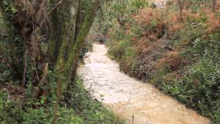 preview picture of video 'Cascata da Serra da Boa-Viagem - Figueira da Foz'