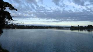 Stevie Wonder The First Garden