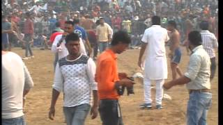 (1) Dhura (Sangrur) Kabaddi Tournament 7 Nov 2015